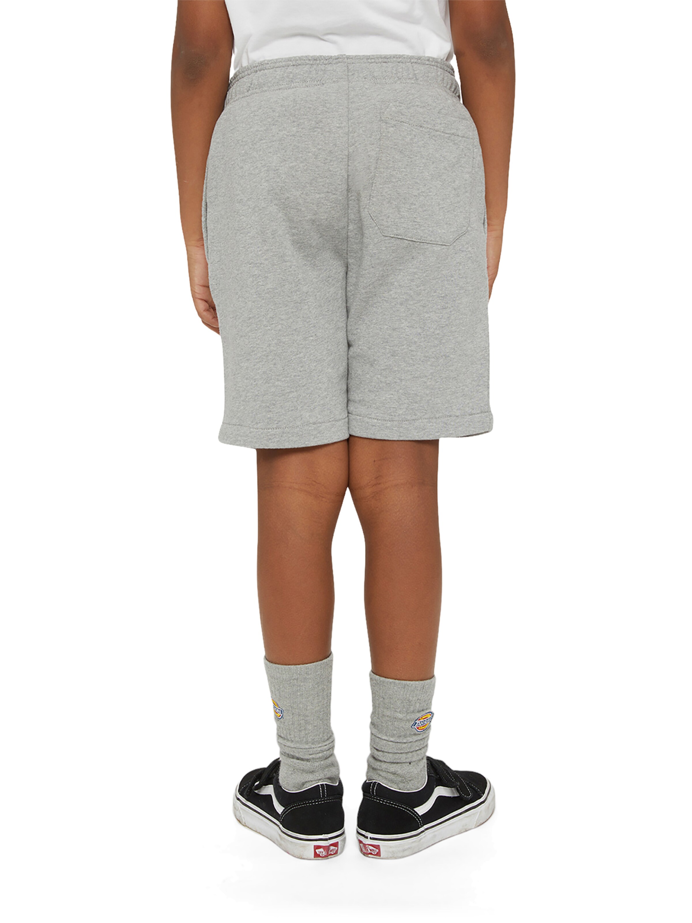 DICKIES - regular Pantalón 'Mapleton' en gris