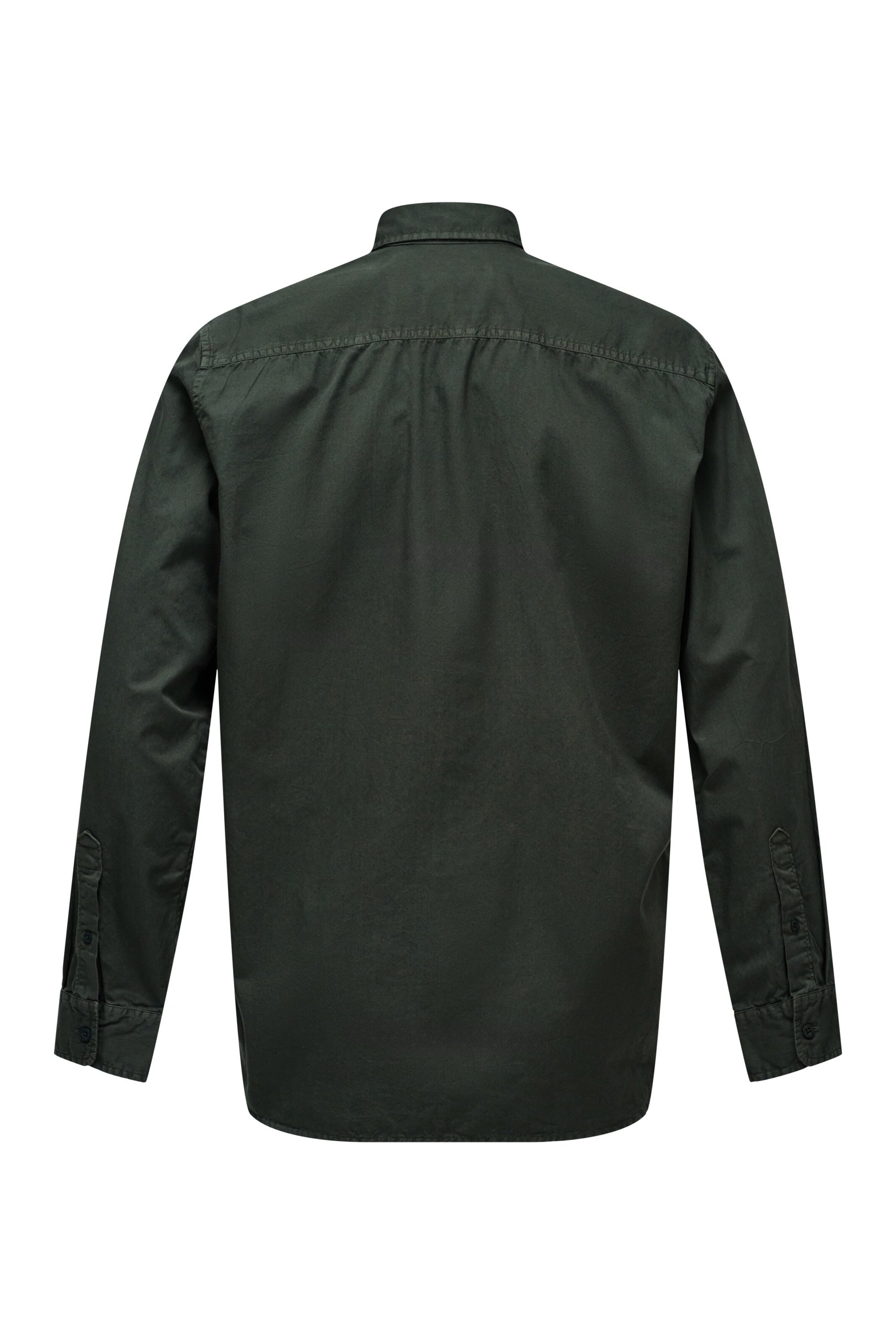 Coupe regular Chemise Salsa Jeans en vert