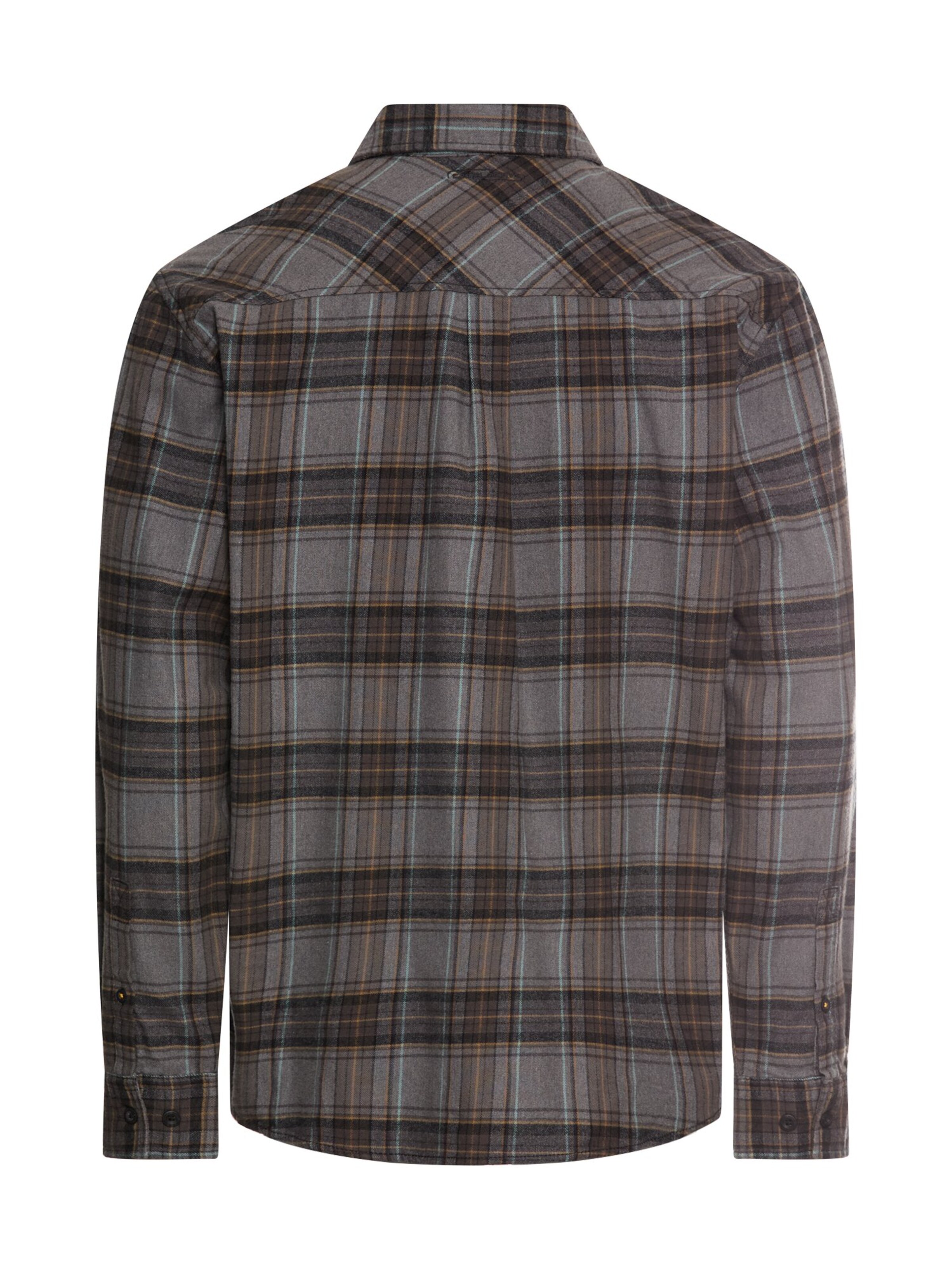 CAMEL ACTIVE Regular fit Button Up Shirt in Brown