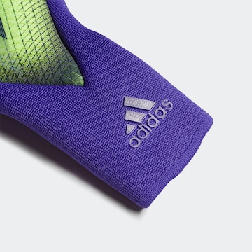ADIDAS SPORTSWEAR Torwarthandschuhe 'X 20 Pro' in Grün