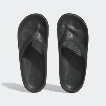 Claquettes / Tongs 'Adicane' ADIDAS SPORTSWEAR en noir