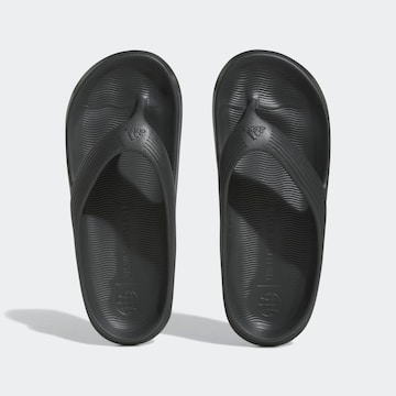 ADIDAS SPORTSWEAR - Zapatos para playa y agua 'Adicane' en negro