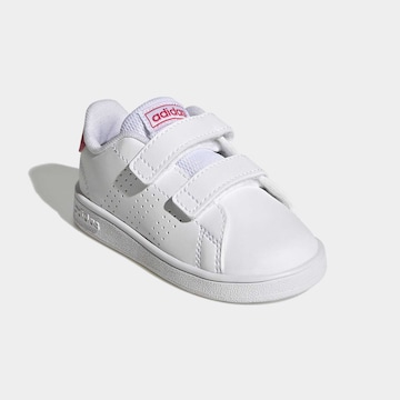 Baskets 'Advantage CF' ADIDAS ORIGINALS en blanc