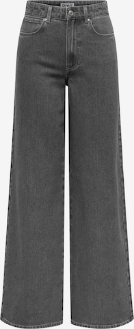 ONLY Wide Leg Jeans 'ONLSANNA' in Grau: Vorderseite