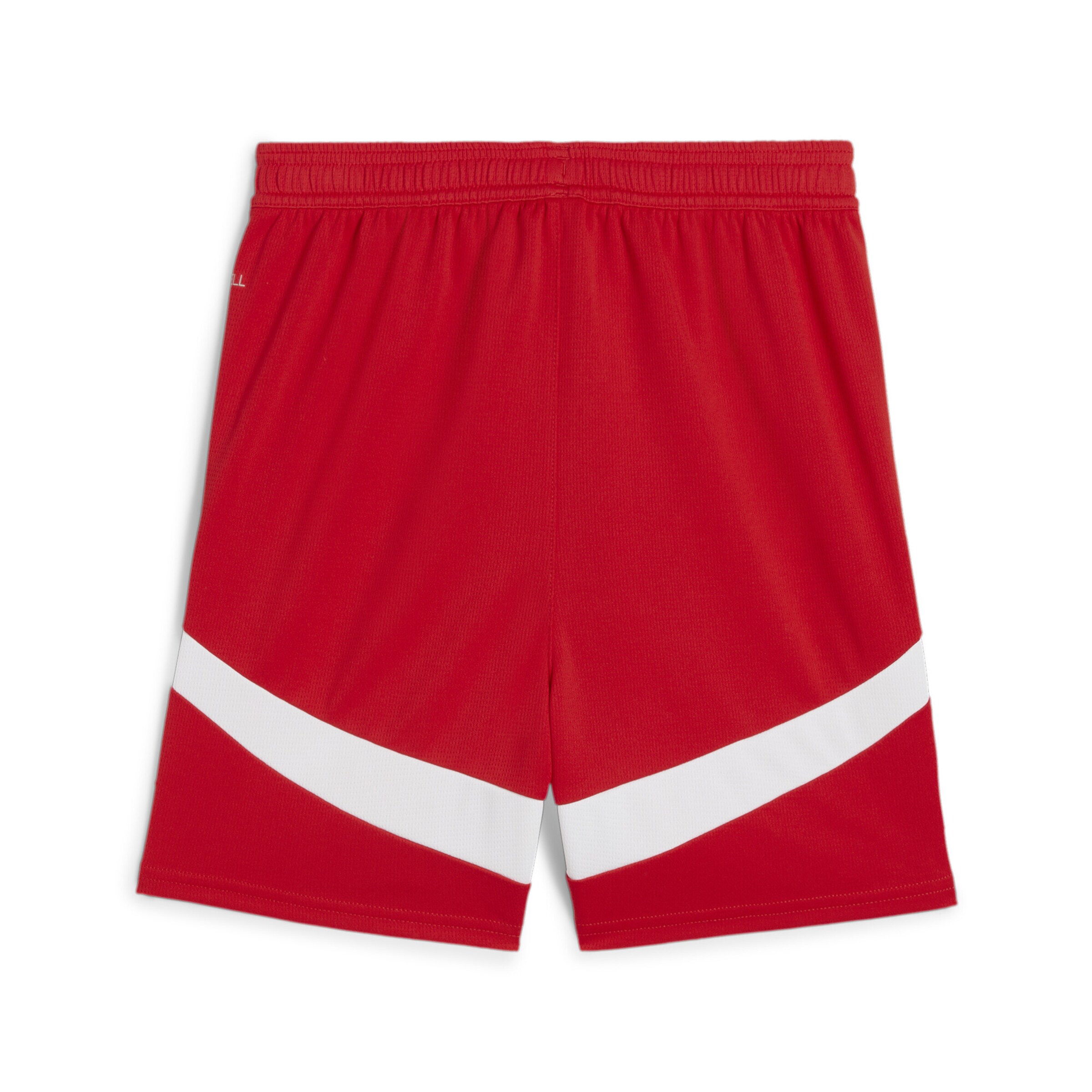 PUMA Regular Sportshorts 'FC Red Bull Salzburg 24/25' in Rot