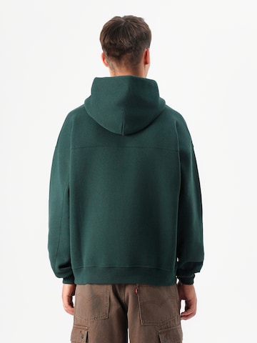 zaļš Abercrombie & Fitch Sportisks džemperis 'ESSENTIAL'