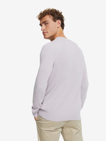 ESPRIT Pullover in Lila