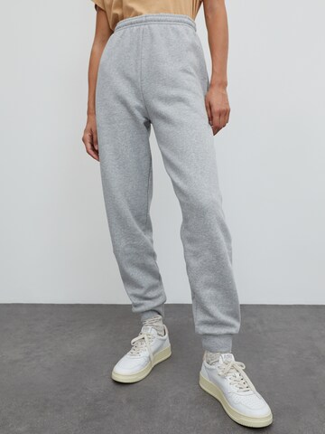 EDITED Tapered Hose 'Riley' in Grau: predná strana