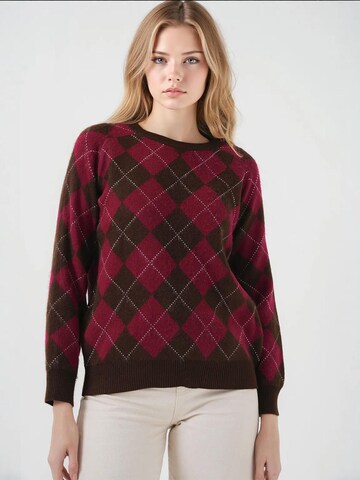Bigdart Sweater in Brown: front