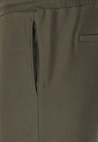 NOU Regular Hose 'Lucan' in Grün