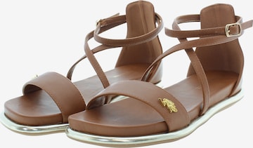 U.S. POLO ASSN. Sandal in Brown: front
