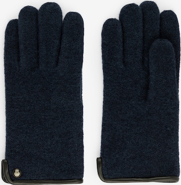 Roeckl Full Finger Gloves in Blue: front