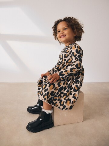 Next Kleid in Mischfarben