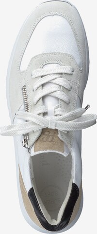 Paul Green Sneakers in White