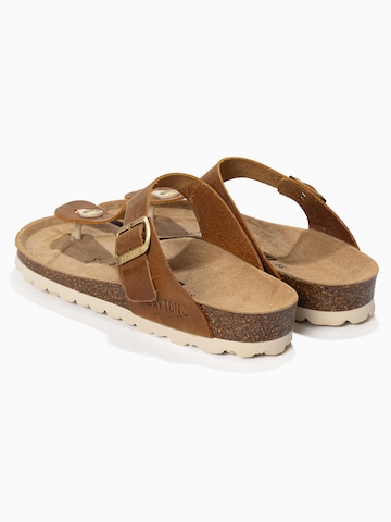 Tongs 'MERCURE' Bayton en marron