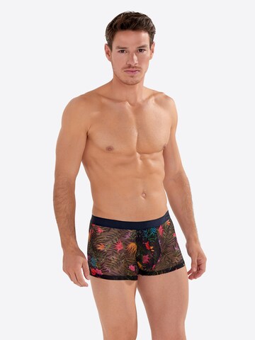 Boxers ' Exotica ' HOM en mélange de couleurs
