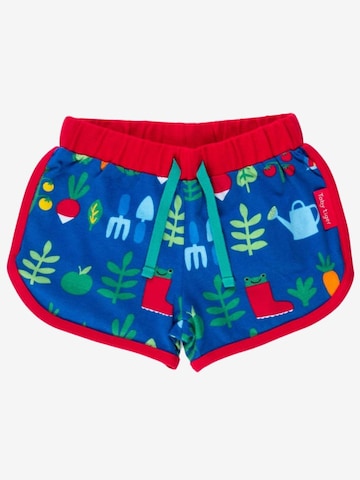 Toby Tiger Regular Pants in Blue: front