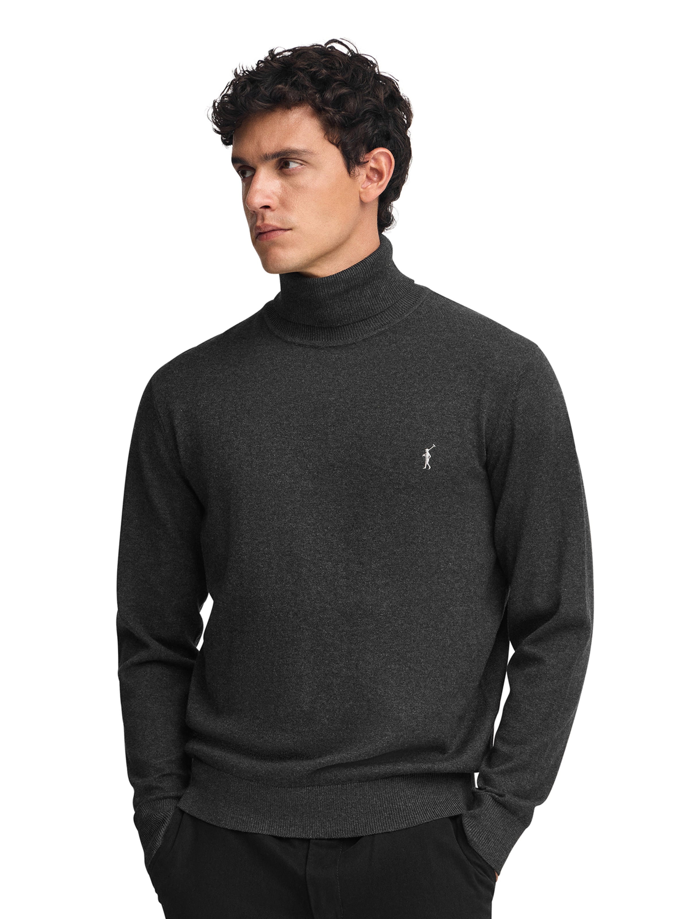 Polo Club Sweater in Grey: front