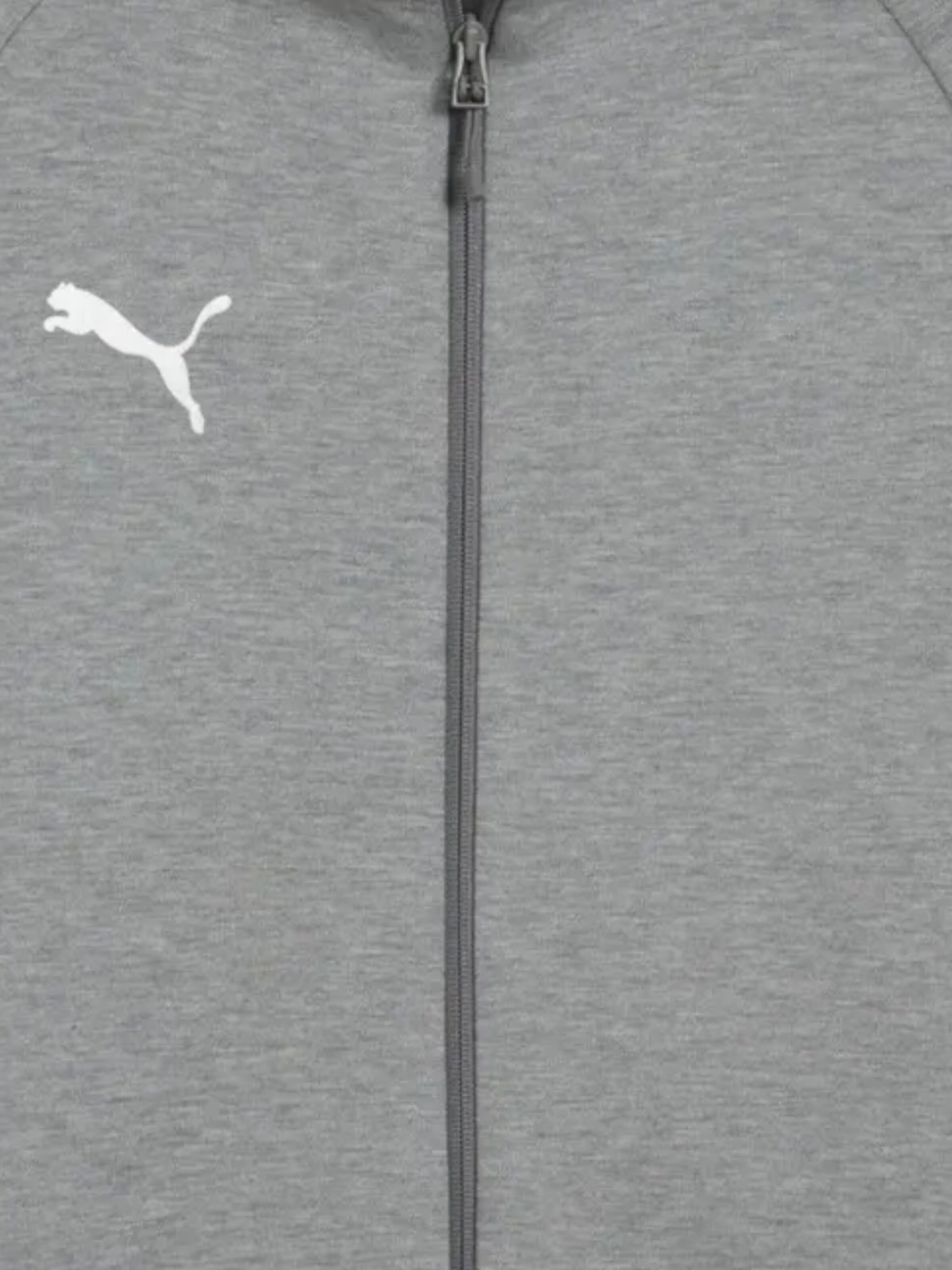 Giacca di felpa sportiva di PUMA in grigio