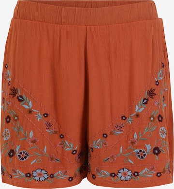 Y.A.S Petite Pants 'CHELLA' in Brown: front
