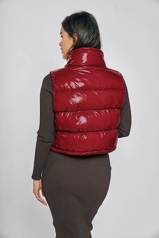 Gilet di FREAKY NATION in rosso