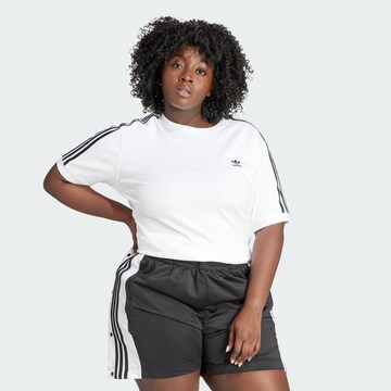 T-shirt ADIDAS ORIGINALS en blanc : devant