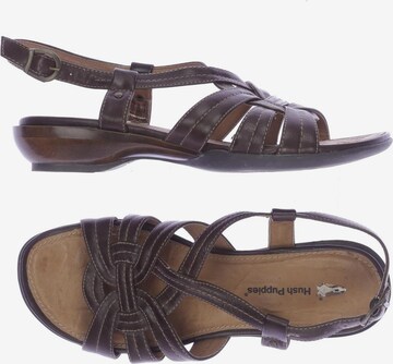 HUSH PUPPIES Sandals & High-Heeled Sandals in 39 in Brown: front
