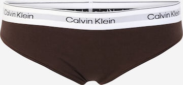 Calvin Klein Underwear Plus Panty in Brown: front