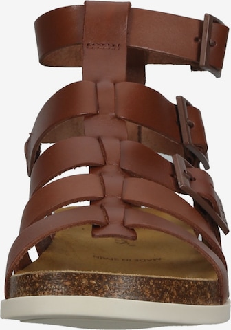 Kickers Sandalen met riem in Bruin