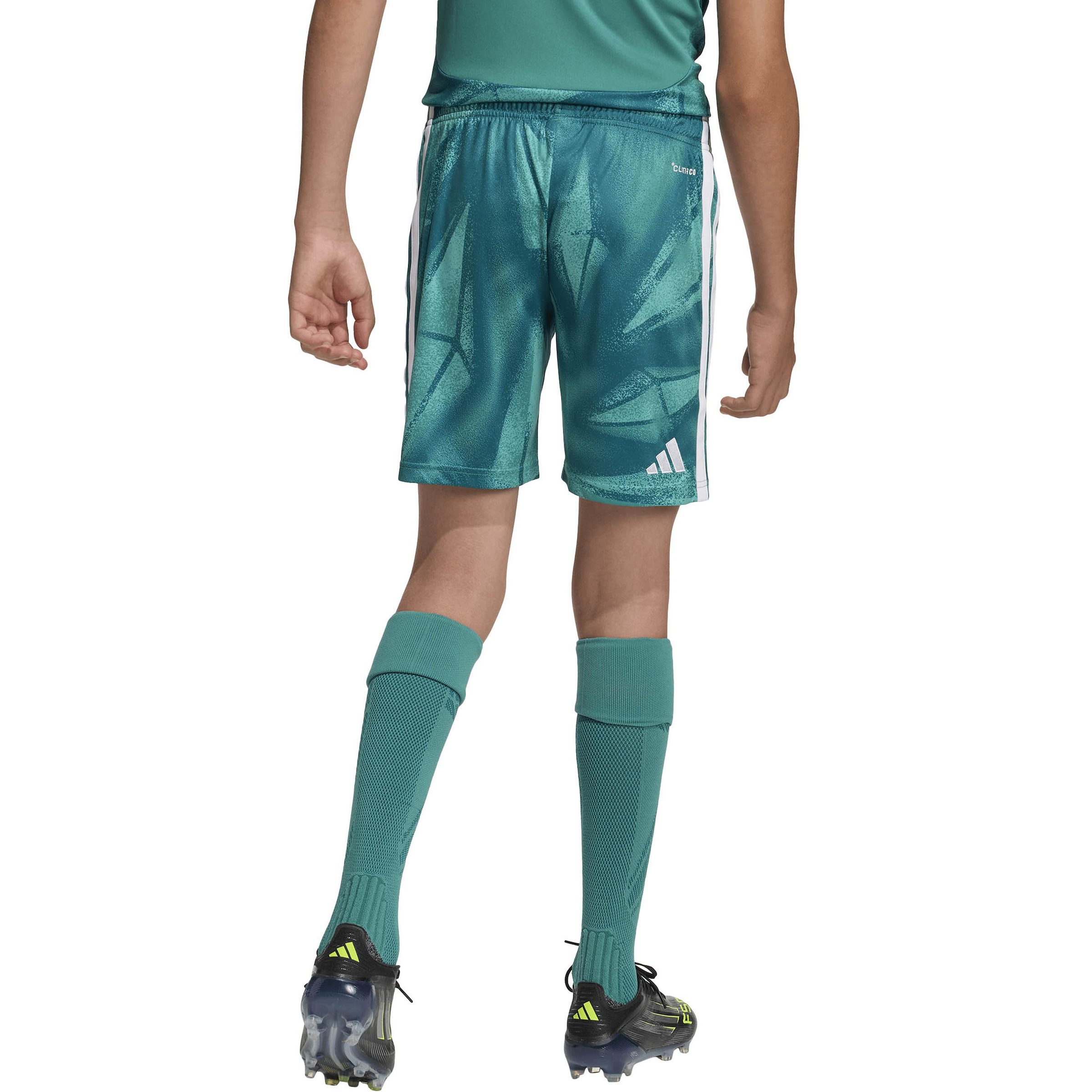 žalia ADIDAS PERFORMANCE Standartinis Sportinės kelnės 'DFB Torwart Home'