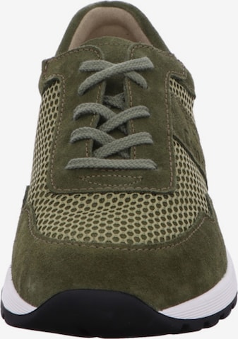 Finn Comfort Sneakers laag in Groen