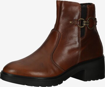 Bottines IGI&CO en marron : devant