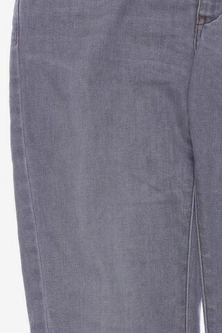sessun Jeans in 25-26 in Grey