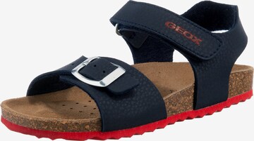 GEOX Sandals & Slippers 'Ghita' in Blue: front