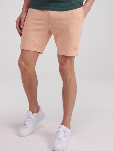 Shiwi Regular Pants in Orange: front