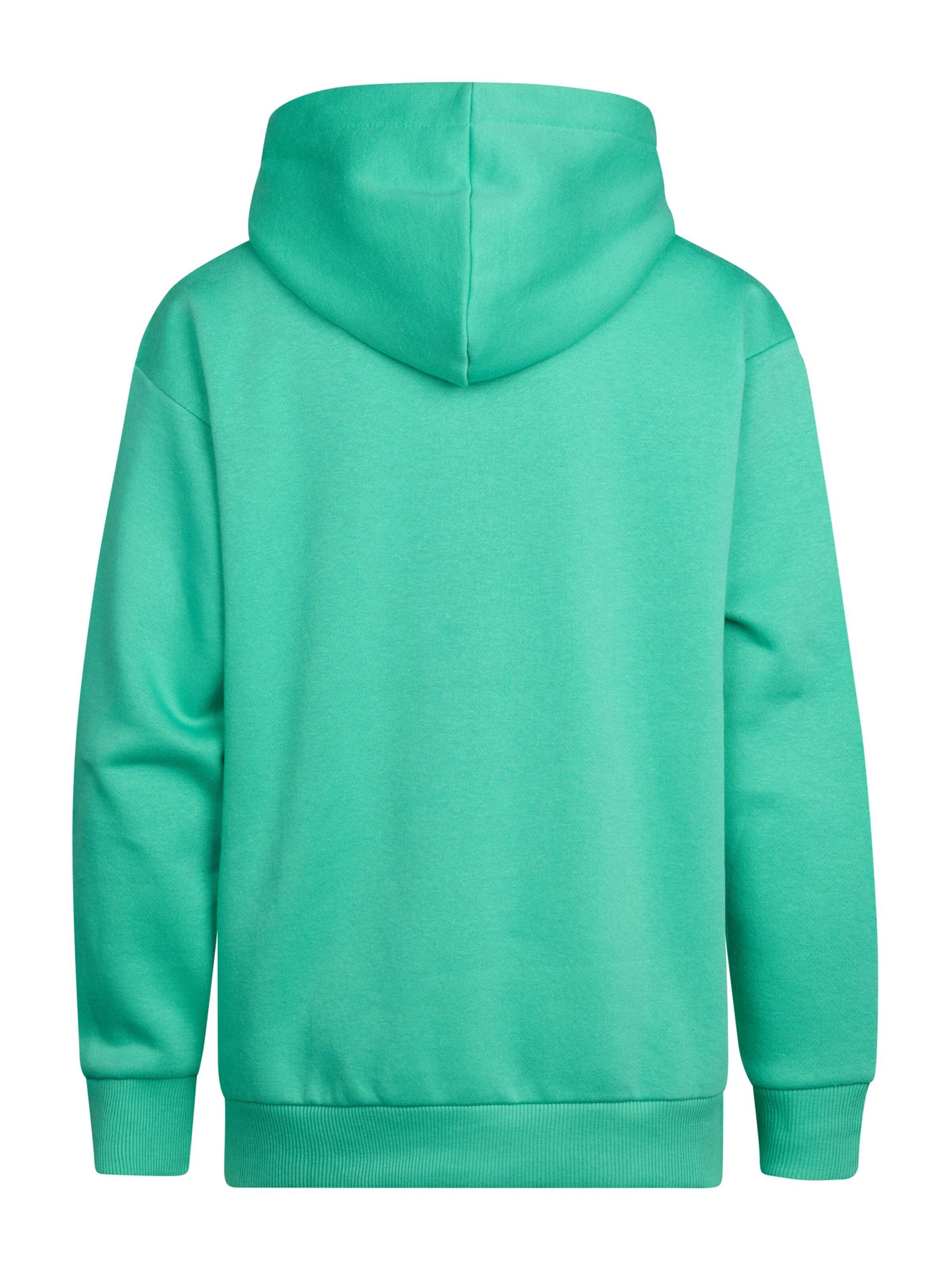 Petrol Industries Sweatshirt in Green