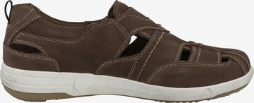 JOSEF SEIBEL Lace-Up Shoes 'Enrico' in Brown