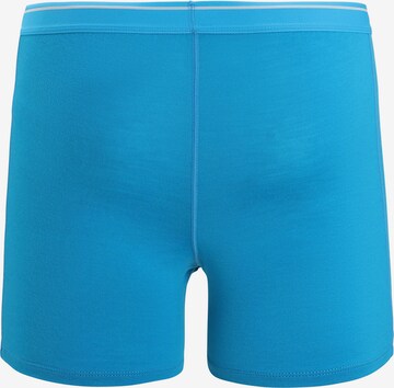 ICEBREAKER Sportunterhose 'Anatomica' in Blau