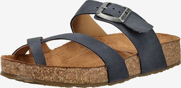 Séparateur d'orteils HAFLINGER en bleu : devant