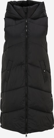 Vero Moda Petite Bodywarmer 'UPPSALA' in Zwart: voorkant