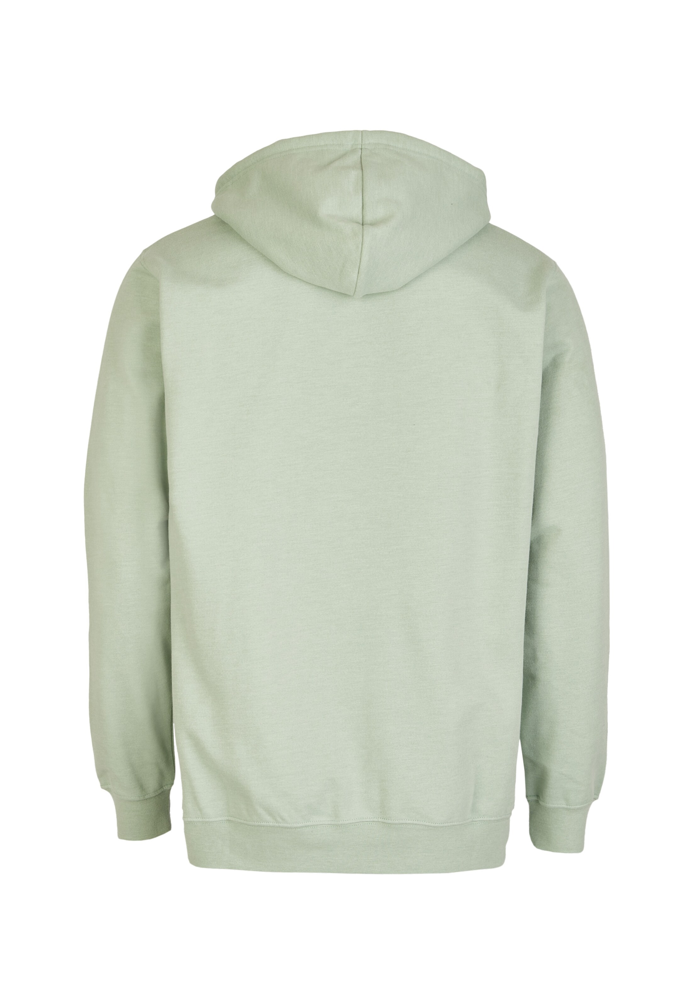 Cleptomanicx Hoodie 'Ligull' in Grün