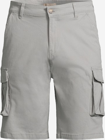 Regular Pantalon cargo AÉROPOSTALE en gris : devant