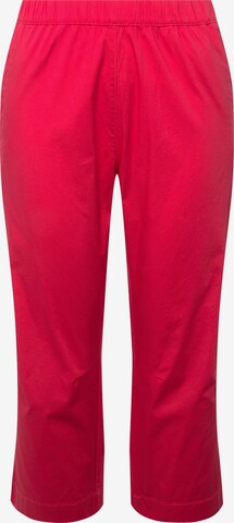 Ulla Popken Regular Pants in Pink: front