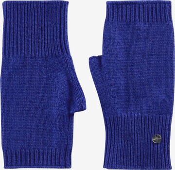 CODELLO Hand Warmers in Blue: front