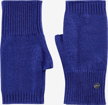 CODELLO Handwarmers in Blauw: voorkant