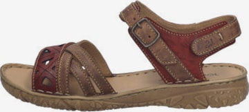 JOSEF SEIBEL Sandalen met riem 'IVY 08' in Rood: voorkant