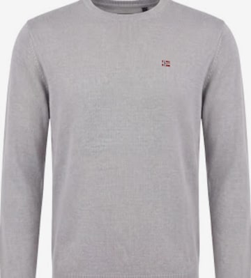 NAPAPIJRI - Jersey 'DAMAVAND C 4' en gris: frente