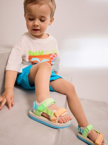Chaussures ouvertes Next en mélange de couleurs