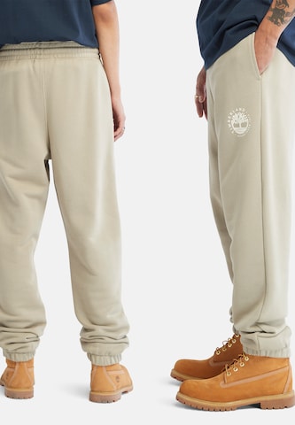 regular Pantaloni di TIMBERLAND in verde