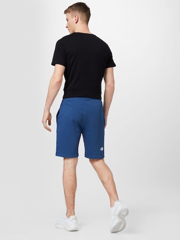 THE NORTH FACE Regular Pants in Blue